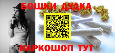 индика Бийск