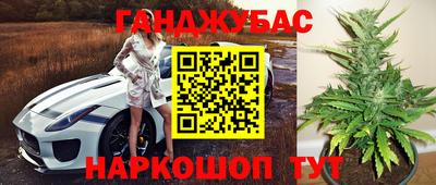 индика Бийск