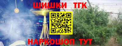 индика Бийск