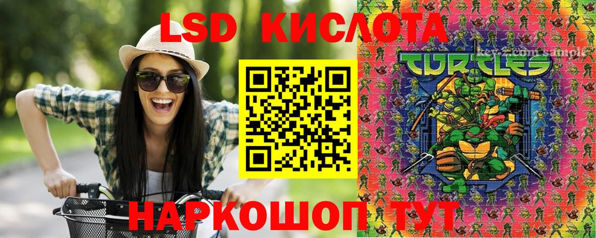 Конопля Кисловодск