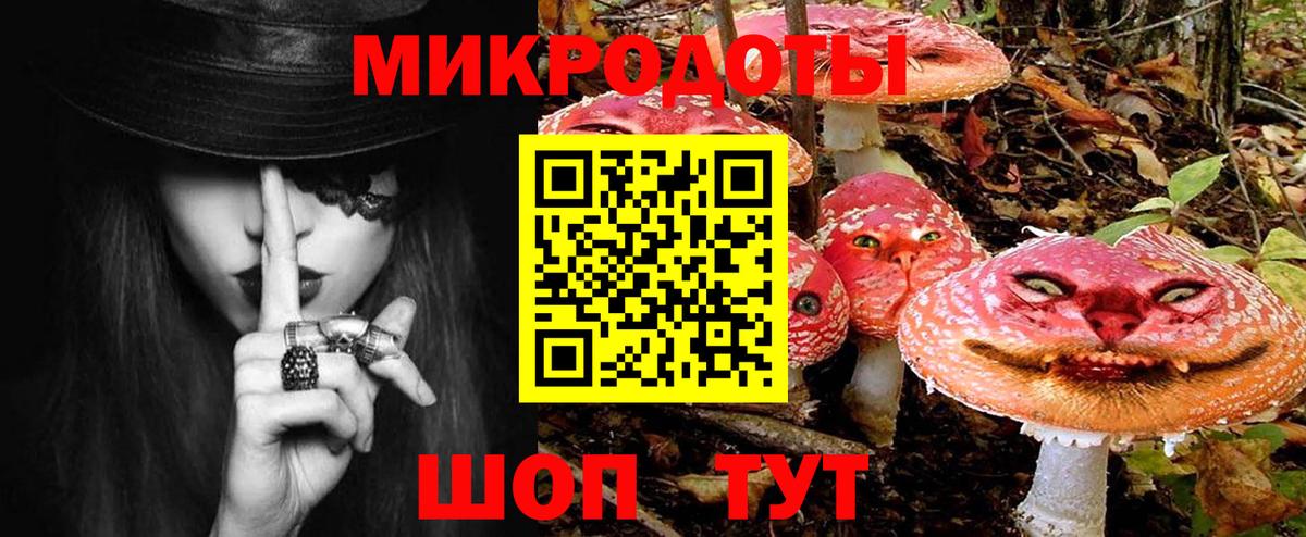 Кисловодск  Галлюциногенные грибы MAGIC MUSHROOMS  как найти   Вход с VPN 
